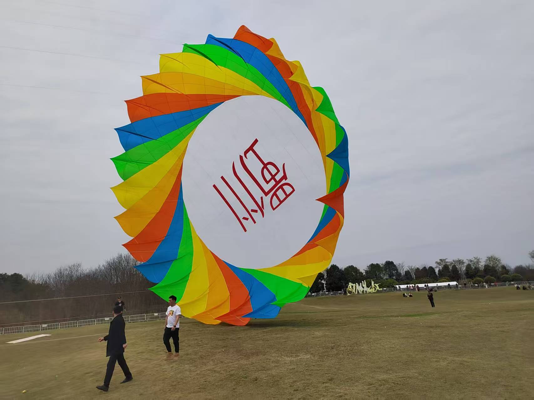 安阳市宣传风筝定制风筝批发 - 一站式服务